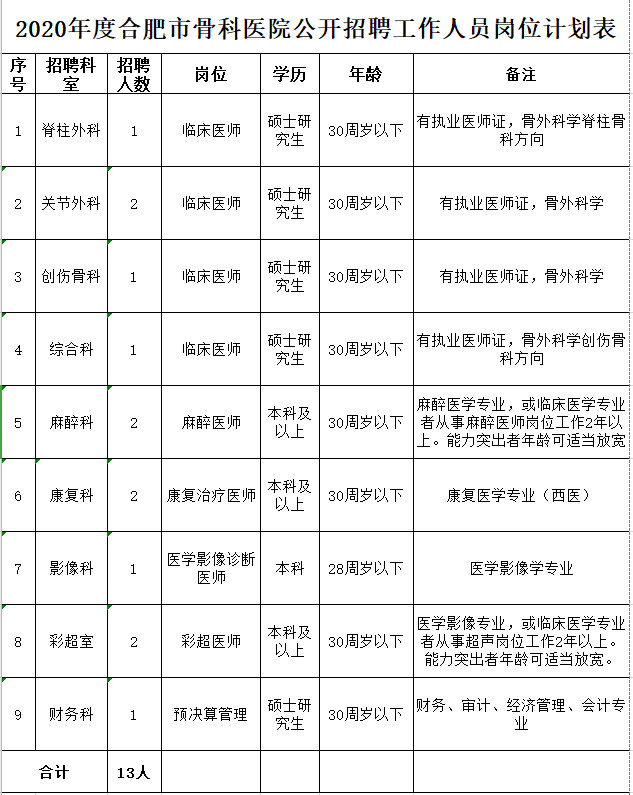 合肥市骨科醫院公開(kāi)招聘工作人員崗位計劃表